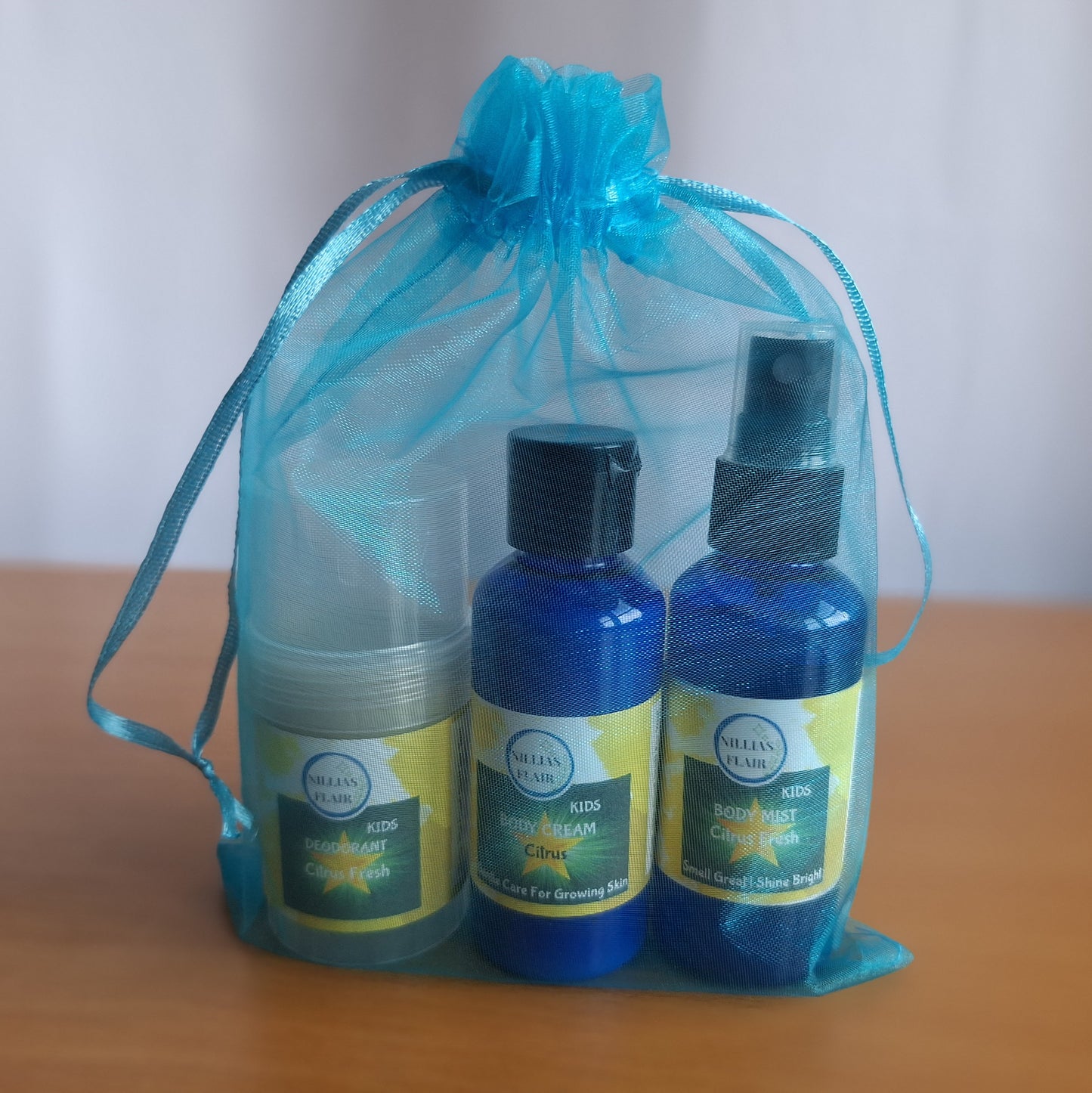 Shield & Shine Mini Bundle Essentials
